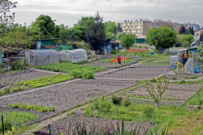 Jardin Partagé