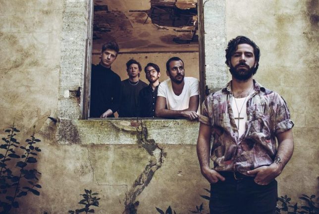 Foals fenêtre