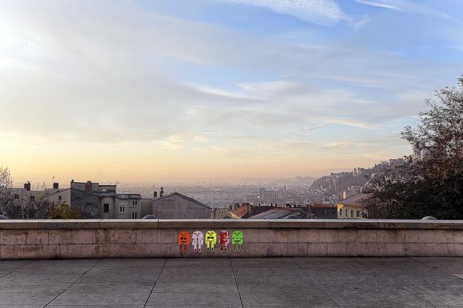 Les premières gelées font leur apparition à Lyon. ©Tim Douet