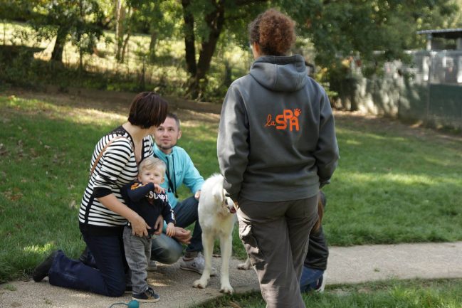 La SPA de Marennes Lyon organise régulièrement des portes ouvertes pour faire connaître son travail et sensibiliser le grand public à la maltraitance animale. Photo d'archives.