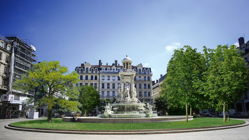 Lyon : La Métropole Va Distribuer 2 000 Arbres Aux Grands Lyonnais