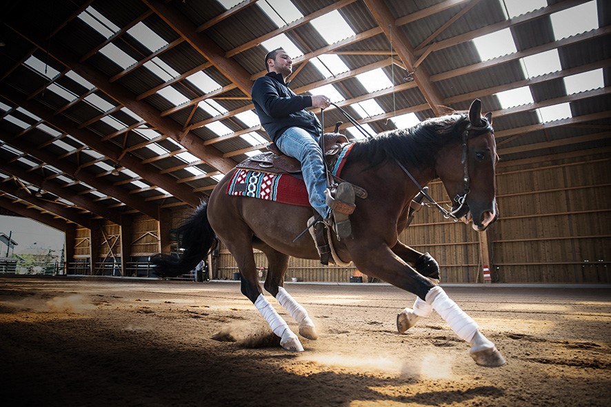 Reining equitation