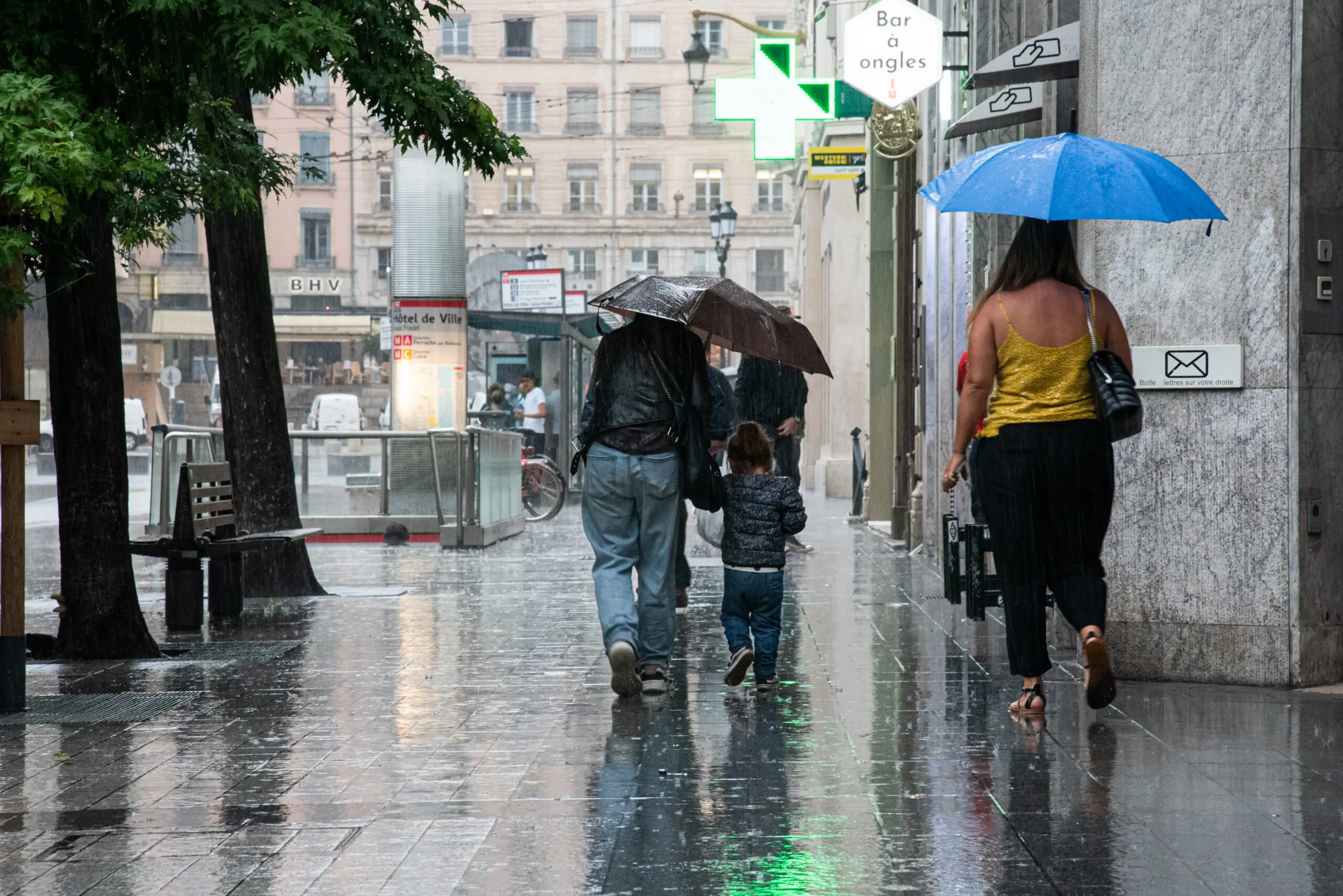 Orages A Lyon Chutes D Arbres 230 Interventions Des Pompiers Du Rhone Jeudi Soir