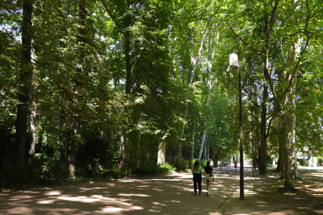 Parc de la Tête d'Or