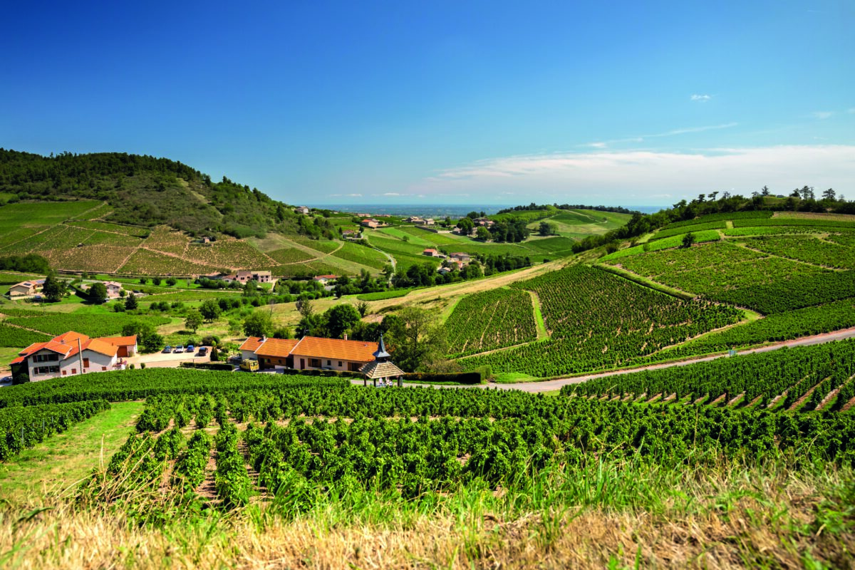 Vignobles du Beaujolais