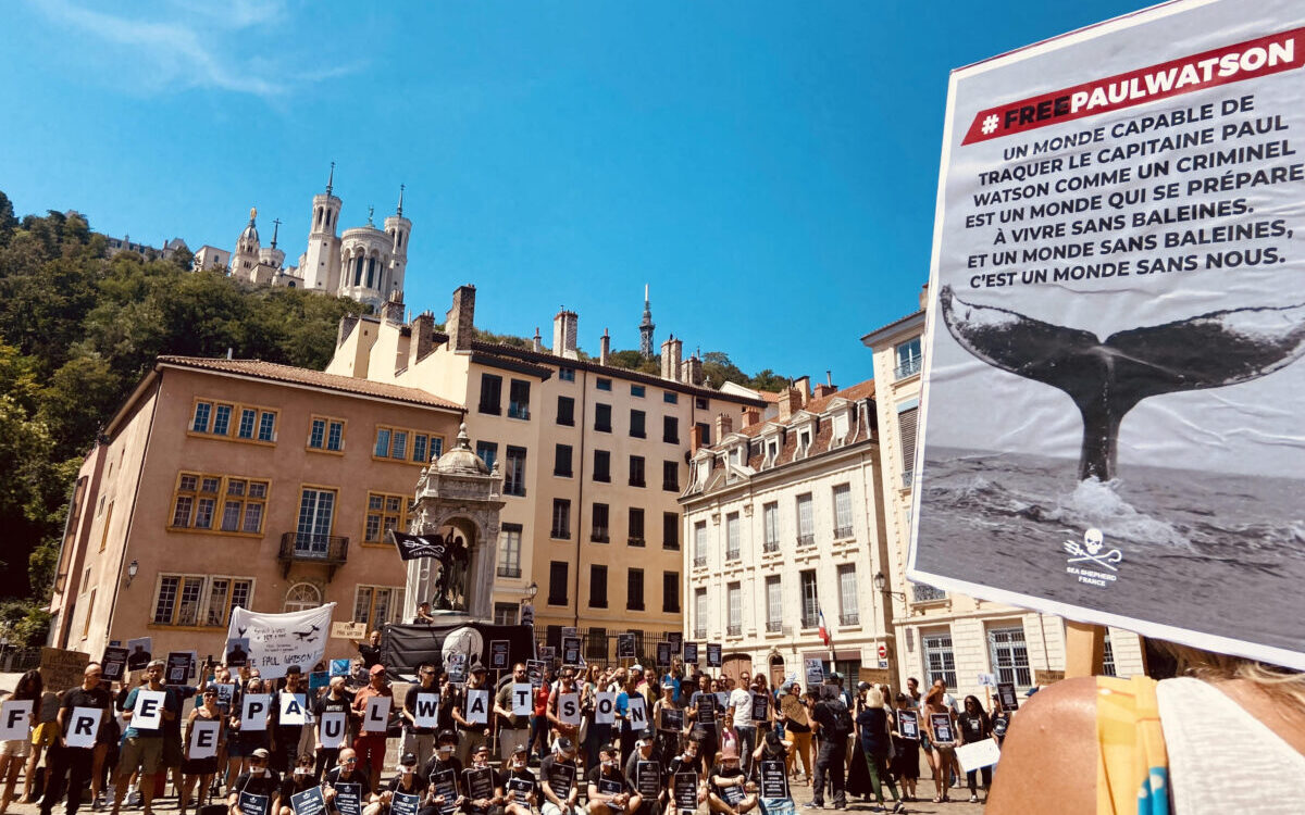 Les militants demandent la libération de Paul Watson à Lyon @Léa AUJAL