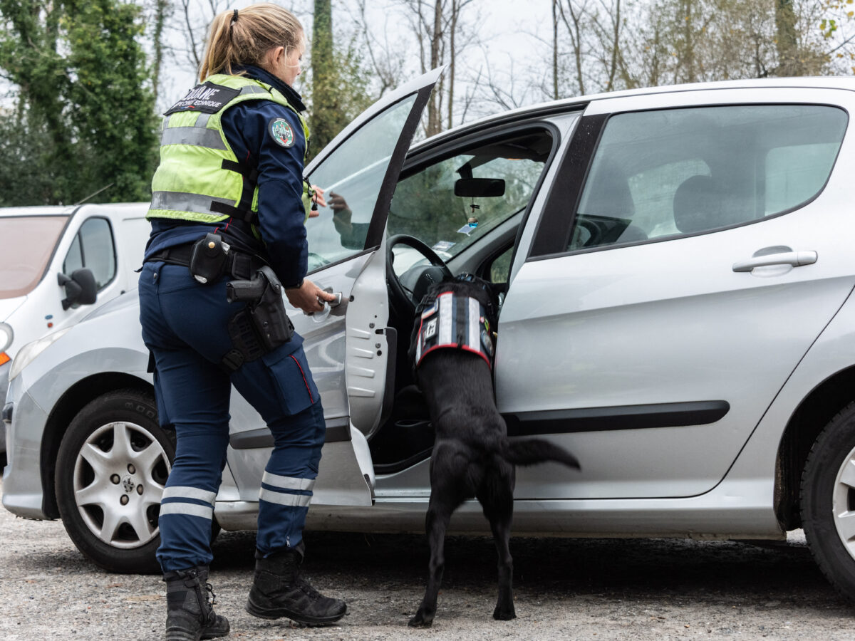 un agent de la douane avec un chien pour un contrôle de drogue